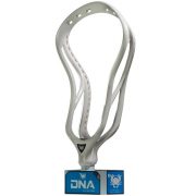 ECD19DNA-mainbig4